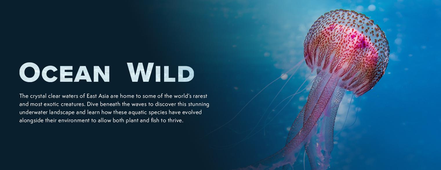 Select Your Plan Magellantv Documentaries